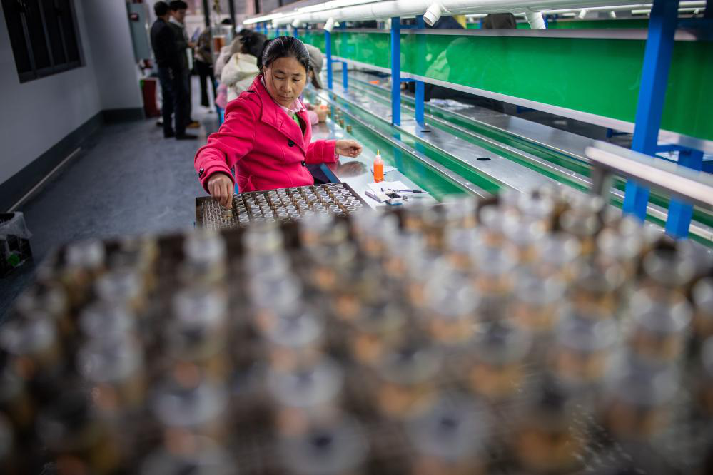 图片4.png 图片4.png